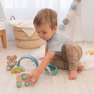 Playground Push A Long Toy