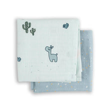 Load image into Gallery viewer, Done by Deer Wrap Baby Swaddle 2 pk
