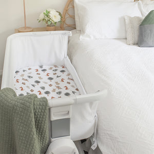 Living Textiles 2-pk Jersey Fitted Sheets