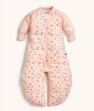 Load image into Gallery viewer, ergoPouch Sleep Suit Bag 3.5 TOG
