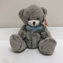 Load image into Gallery viewer, Huggable Toys Eco Hugs 20cm Bear
