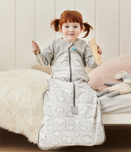 Load image into Gallery viewer, Love to Dream Sleep Bag WARM 2.5 TOG
