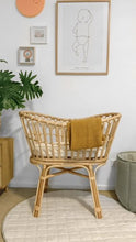 Load image into Gallery viewer, BabyRest Olive Bassinet &amp; Stand
