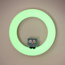 Load image into Gallery viewer, Zazu Wall Light with Plush
